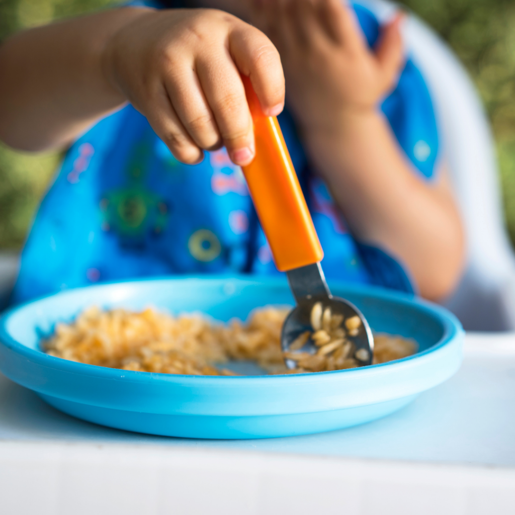 Picky Eating Help Feeding Therapy for Toddlers